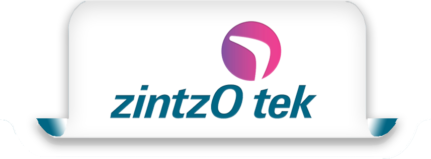 zintzotek logo
